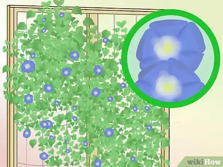 Image titled Design a Potager Garden Step 11