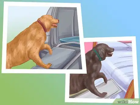 Image titled Make Your Home Safer for a Senior Dog Step 2