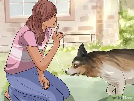 Image titled Approach an Injured Animal Step 7