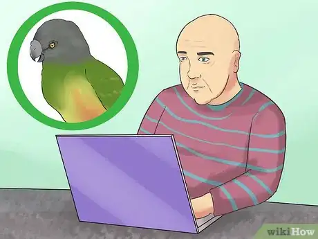 Image titled Care for a Senegal Parrot Step 16