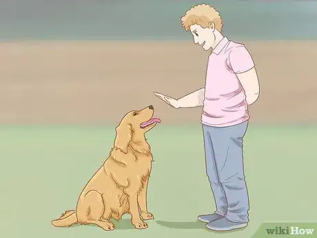 Image titled Train a Golden Retriever Step 7
