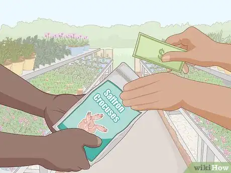 Image titled Grow Saffron Indoors Step 1