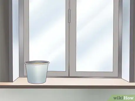 Image titled Grow Ferns Step 5