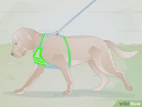 Image titled Choose the Right Harness for Your Dog Step 6