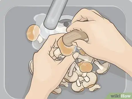 Image titled Cook Hedgehog Mushrooms Step 2