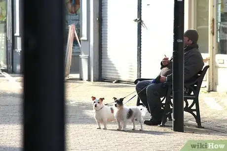 Image titled Become a Happy Positive Person and Ignore the Haters Step 5