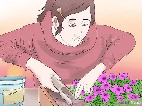 Image titled Grow Petunias Step 14