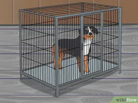 Image titled Keep a Dog from Sneaking Human Food Step 8