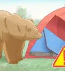 Assemble a Tent