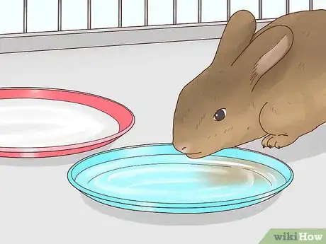 Image titled Care for a Baby Wild Rabbit Step 15