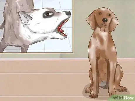 Image titled Do Yoga with Your Dog Step 9