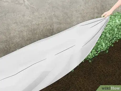 Image titled Pressure Wash Step 12