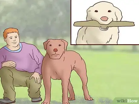 Image titled Choose the Right Dog for Your Family Step 5