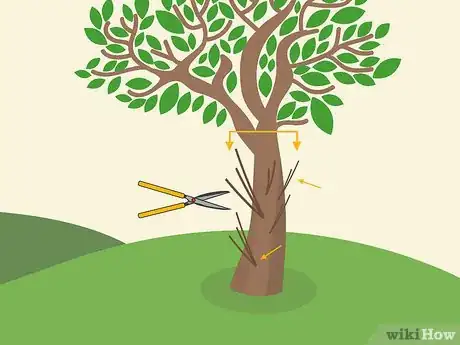 Image titled Prune Brugmansia Step 04