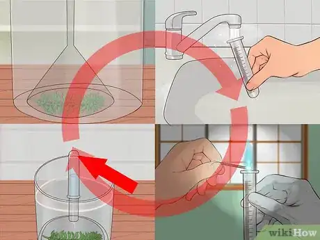 Image titled Show Oxygen Is a By Product of Photosynthesis Step 11