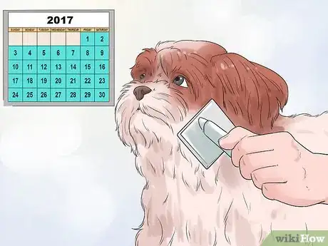 Image titled Groom a Shih Tzu at Home Step 1