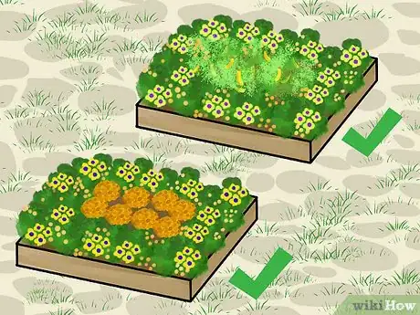 Image titled Design a Potager Garden Step 15