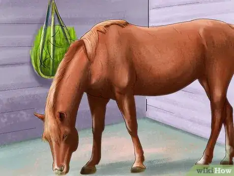 Image titled Spot Ulcer Symptoms in Horses Step 2