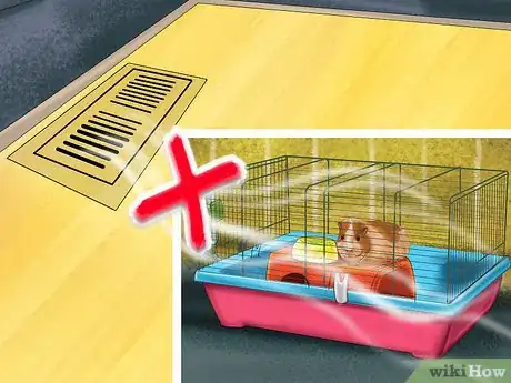 Image titled Prevent Respiratory Problems in Guinea Pigs Step 2