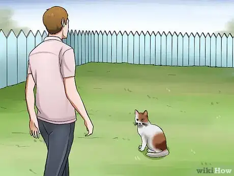 Image titled Help a Cat when No Vets Are Available Step 2