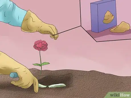 Image titled Grow Poppies Step 13