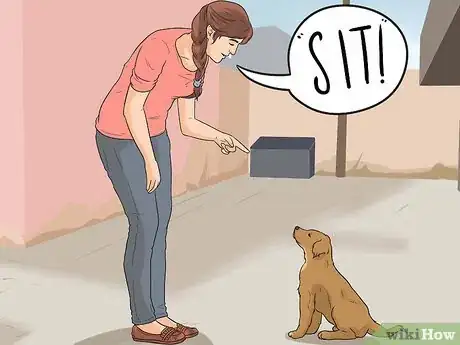 Image titled Introduce a New Puppy Step 3