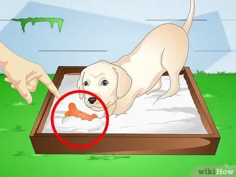 Image titled Make a Puppy Stop Digging Step 8
