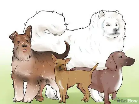 Image titled Choose the Right Dog Breed to Protect Your Home Step 14
