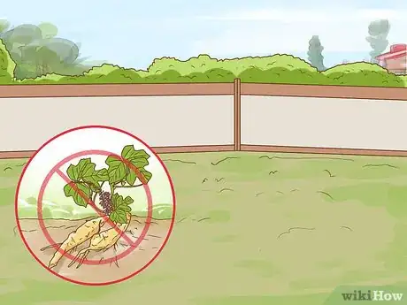 Image titled Harvest Kudzu Step 15