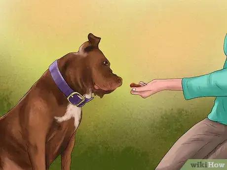 Image titled Avoid Confusing a Dog During Training Step 6
