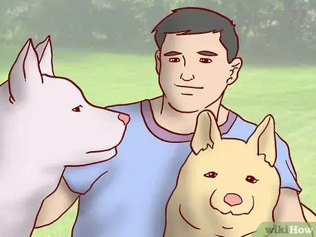 Image titled Maintain Social Skills in Older Dogs Step 12
