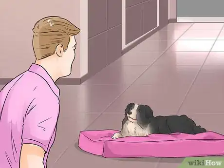 Image titled Keep Your Dog Comfortable Indoors Step 13
