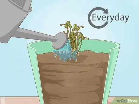 Image titled Plant a Woolworths Discovery Garden Step 17