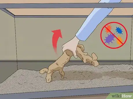 Image titled Give a Lizard a Bath Step 16