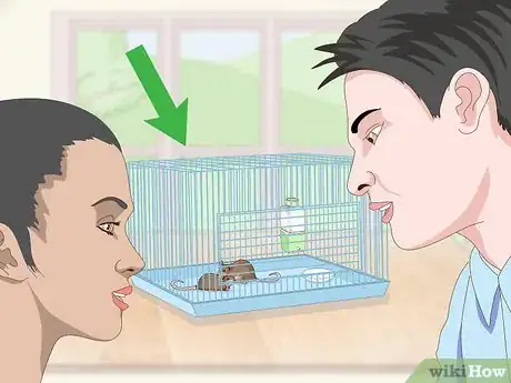 Image titled Keep a Pair of Pet Rats Step 11
