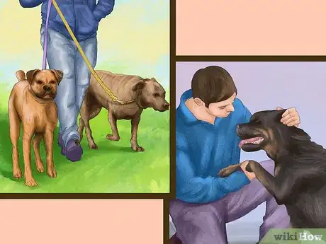 Image titled Volunteer at a Dog Shelter Step 7