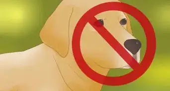 Visit the Golden Gate Bridge