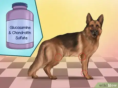 Image titled Know if Your Senior Dog Should Go on a Diet Step 10