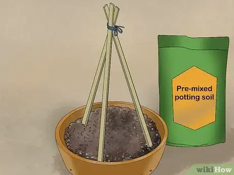 Image titled Grow Cucumbers in Pots Step 6