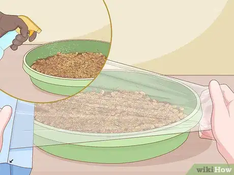 Image titled Grow Wheatgrass Without Soil Step 10