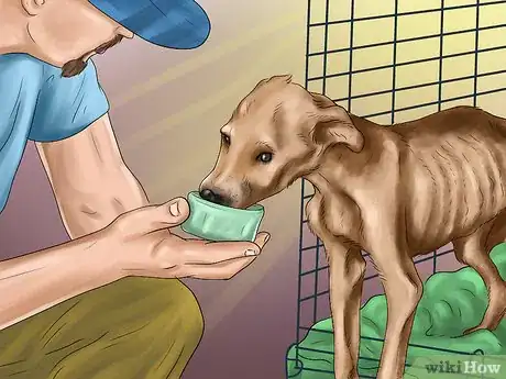 Image titled Volunteer at a Dog Shelter Step 4