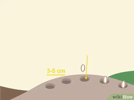 Image titled Grow Lanzones Step 3