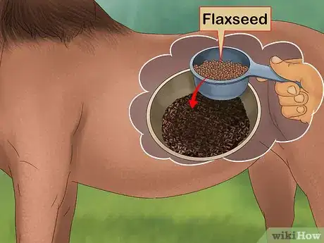 Image titled Give Your Horse the Right Supplements Step 10