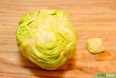 Image titled Can Sauerkraut Step 4