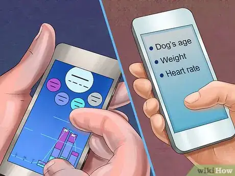 Image titled Track Your Dog's Patterns Step 2