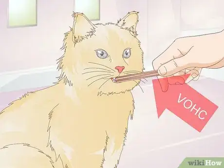 Image titled Prevent Feline Dental Disease Step 7