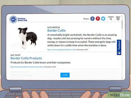 Image titled Choose a Border Collie Step 1
