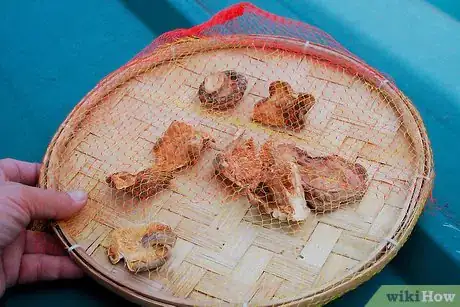 Image titled Dry Mushrooms Step 14