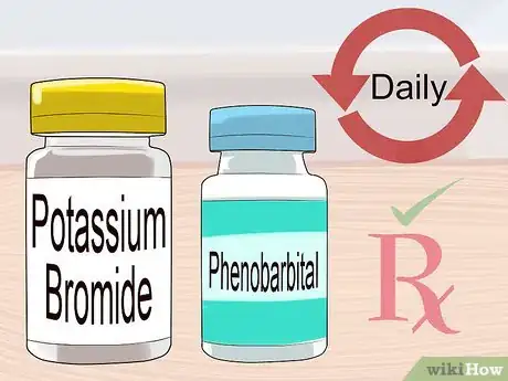 Image titled Cope With Canine Epilepsy Step 11