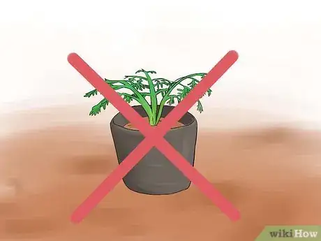 Image titled Grow Perennial Vegetables Step 13